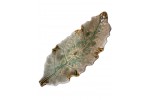 CP1005 LEAF PLATE 16"/7"